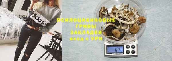 прущие крисы Алексин