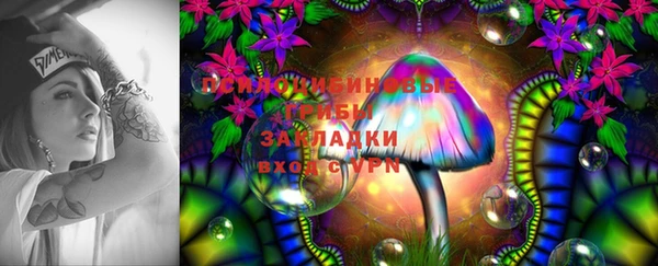 первитин Алексеевка