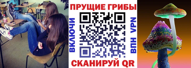 Псилоцибиновые грибы ЛСД Сасово